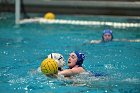 WWPolo vs CC  Wheaton College Women’s Water Polo compete in their sports inaugural match vs Connecticut College. - Photo By: KEITH NORDSTROM : Wheaton, water polo, inaugural